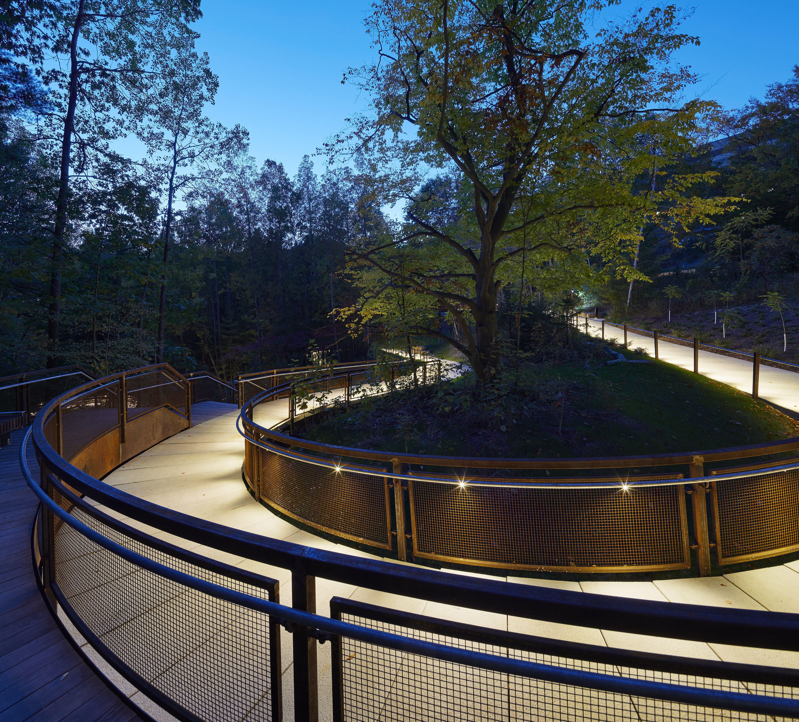 Eyes Handrail